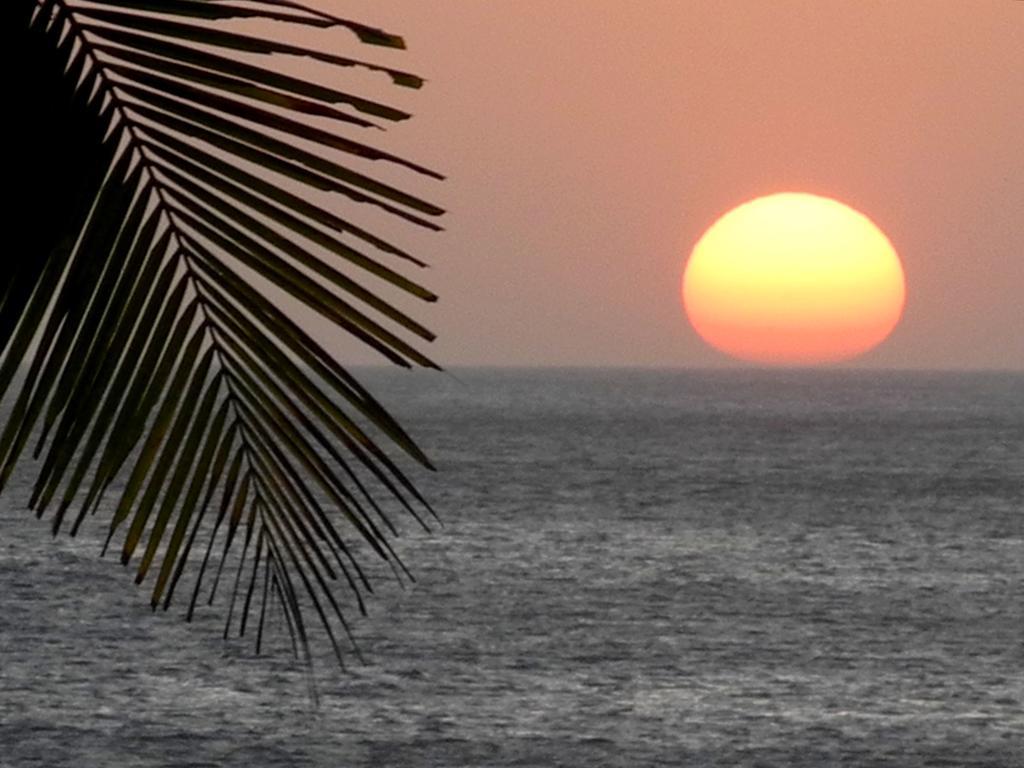 Casas Pelicano Playa Junquillal Luaran gambar